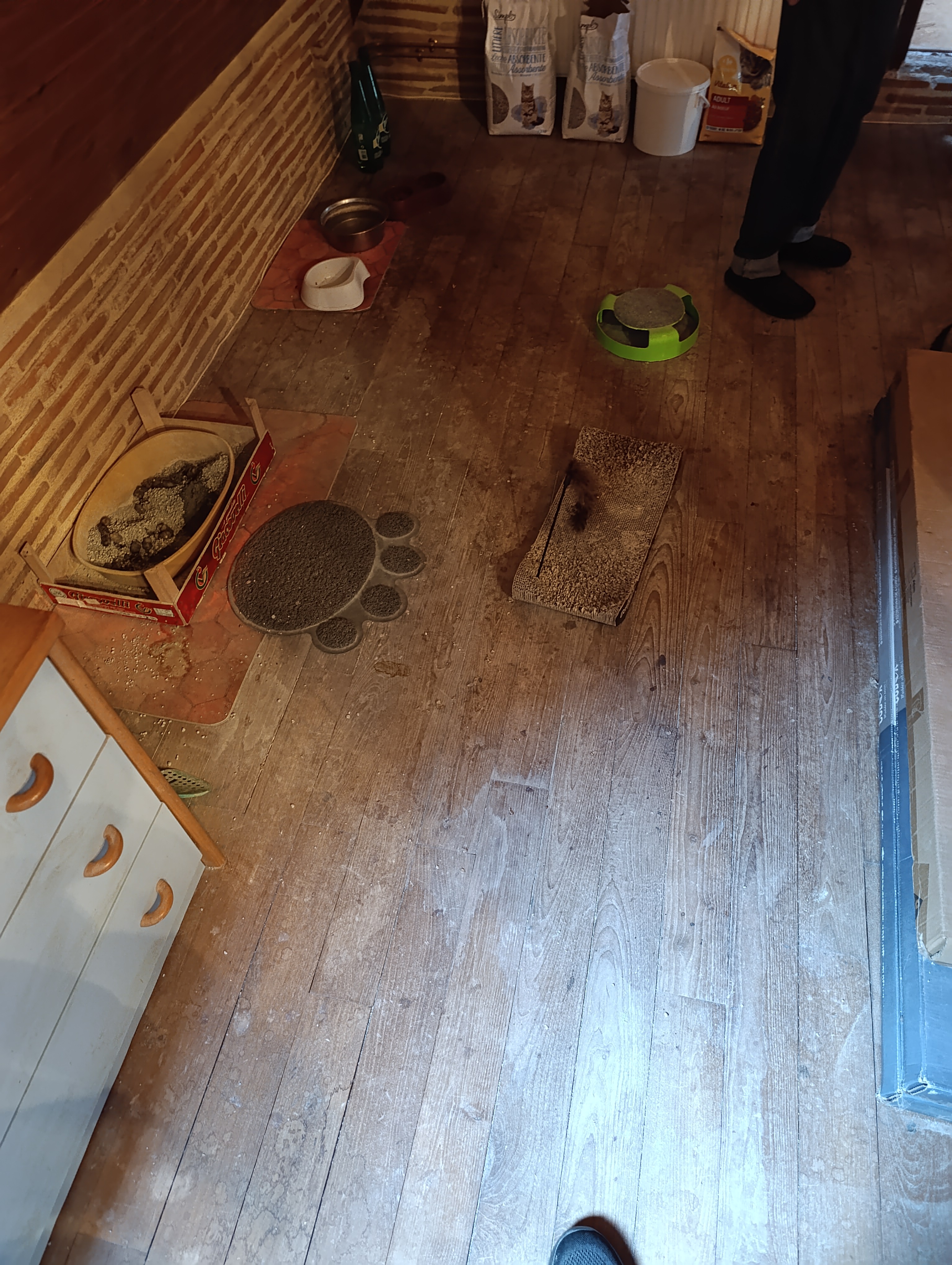 Parquet abîmé après dégât des eaux